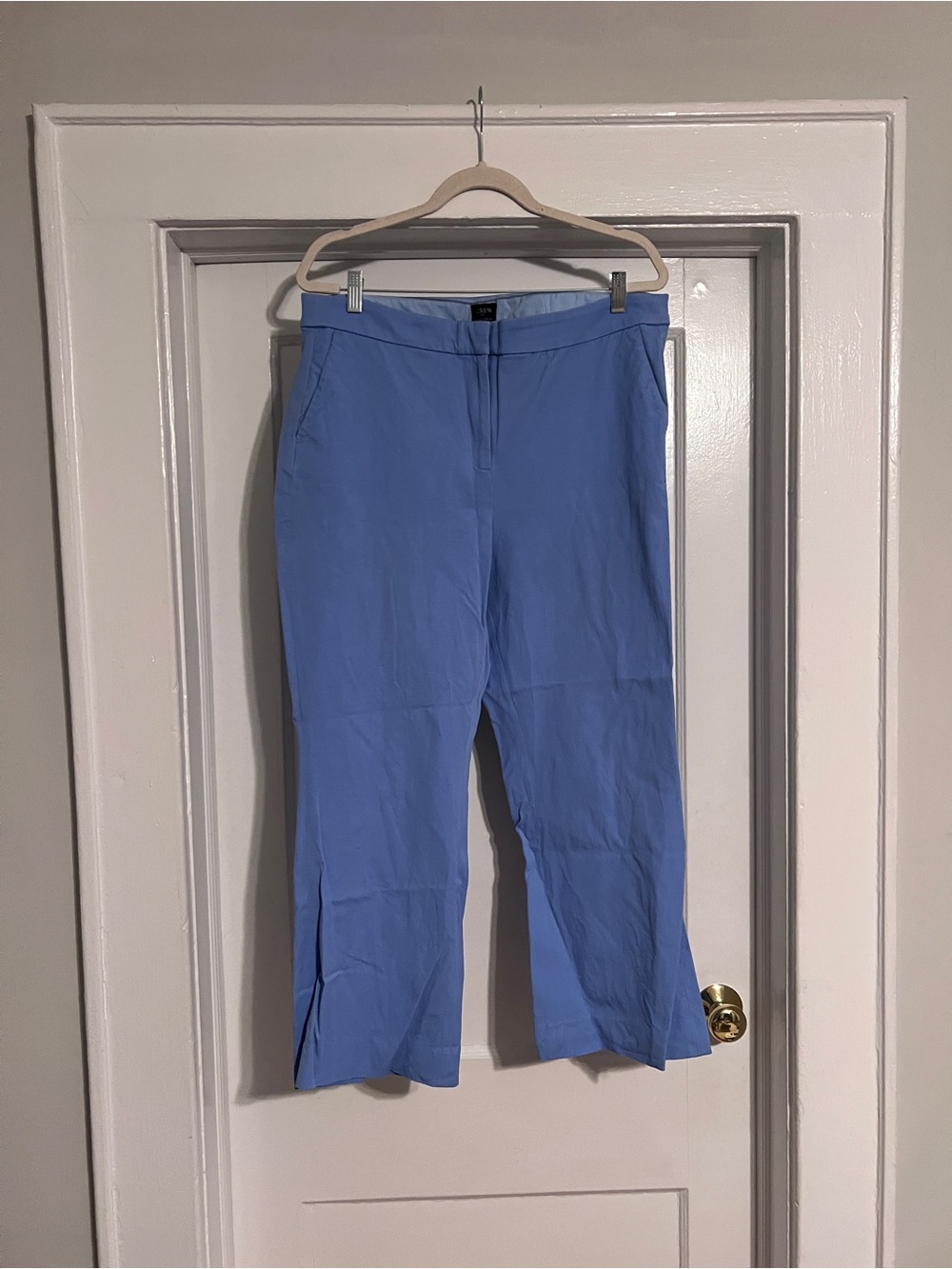 J. Crew Kelsey Pants in Light Blue